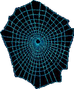 web