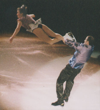 Brasseur and Eisler